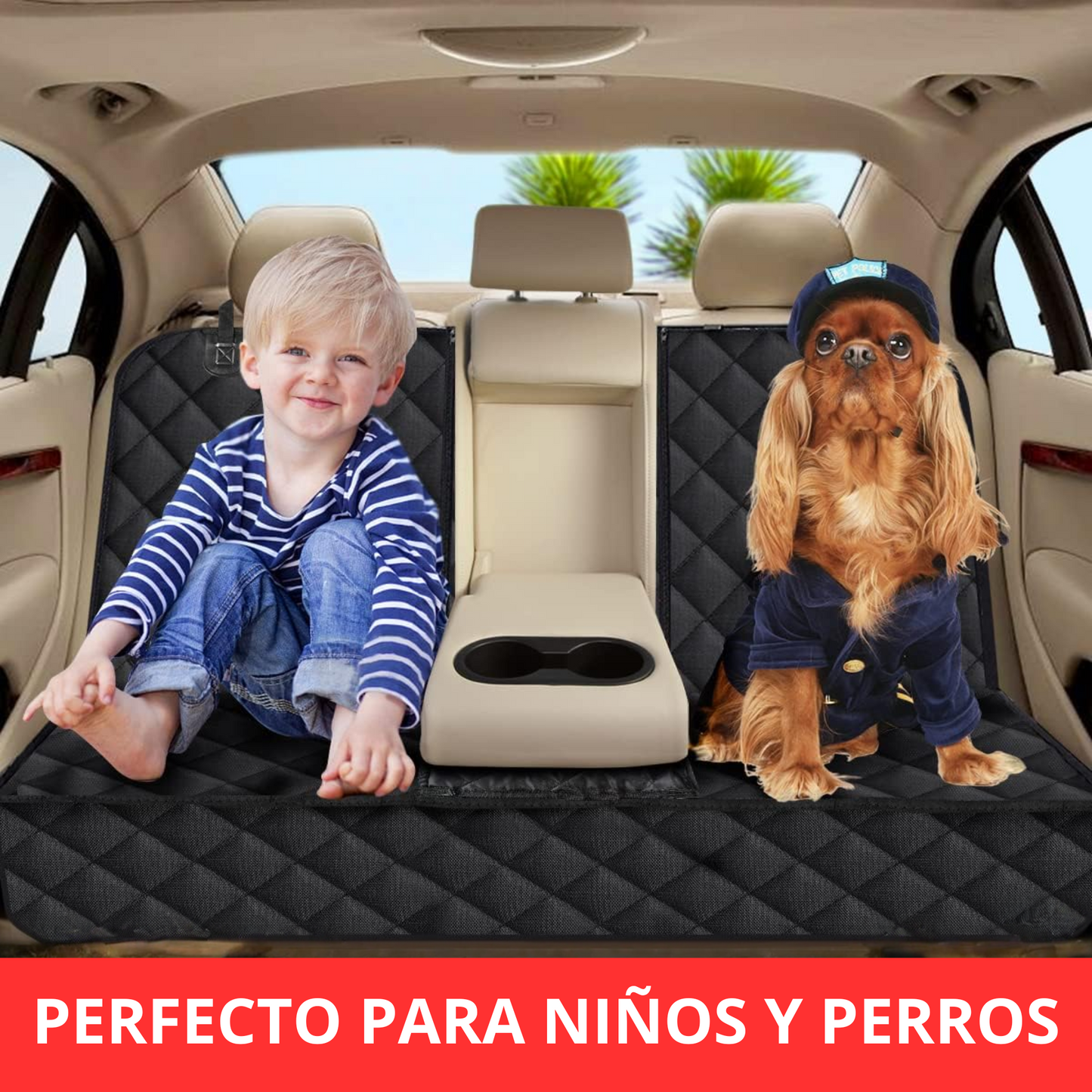 PawSeat
